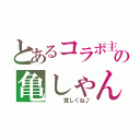 とあるコラボ主の亀しゃん（   宜しくね♪）