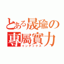 とある晟瑜の專屬實力（インデックス）