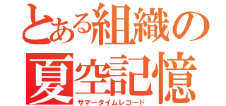 とある組織の夏空記憶（サマータイムレコード）