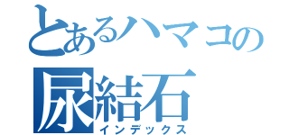 とあるハマコの尿結石（インデックス）