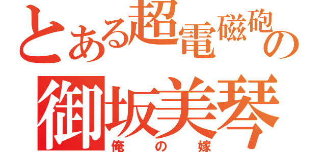 とある超電磁砲の御坂美琴（俺の嫁）