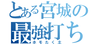 とある宮城の最強打ち師（ホモたく主）