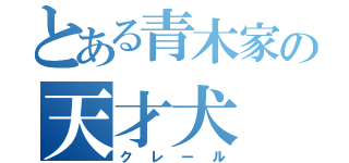 とある青木家の天才犬（クレール）