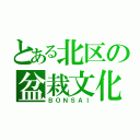 とある北区の盆栽文化（ＢＯＮＳＡＩ）