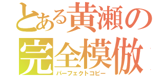 とある黄瀬の完全模倣（パーフェクトコピー）