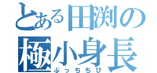 とある田渕の極小身長（ぶっちちび）