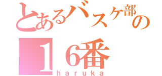 とあるバスケ部の１６番（ｈａｒｕｋａ）