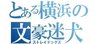 とある横浜の文豪迷犬（ストレイドッグス）