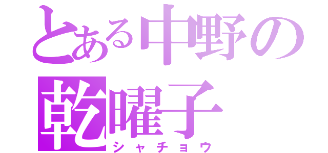 とある中野の乾曜子（シャチョウ）