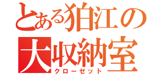 とある狛江の大収納室（クローゼット）