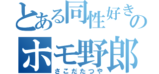 とある同性好きのホモ野郎（さこだたつや）