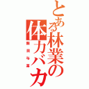 とある林業の体力バカ。（飯田与喜）