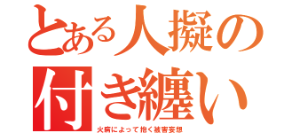 とある人擬の付き纏い（火病によって抱く被害妄想）