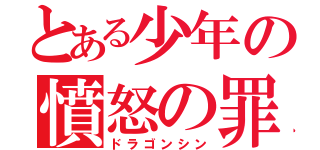 とある少年の憤怒の罪（ドラゴンシン）