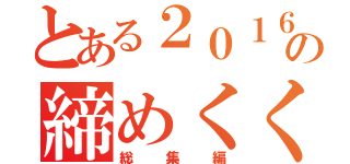 とある２０１６の締めくくり（総集編）