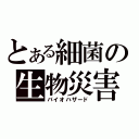 とある細菌の生物災害（バイオハザード）