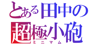 とある田中の超極小砲（ミニマム）