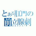 とある肛門の前立腺刺激（エネマグラ）