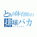 とある体育館の排球バカ（パーフェクト）