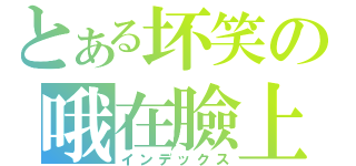 とある坏笑の哦在臉上（インデックス）