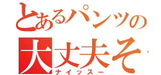 とあるパンツの大丈夫そ？（ナイッスー）