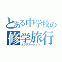 とある中学校の修学旅行（エクスカーション）