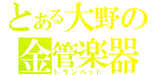 とある大野の金管楽器（トランペット）