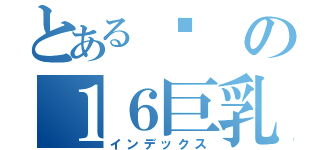 とある蓟の１６巨乳（インデックス）