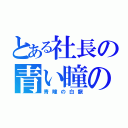 とある社長の青い瞳の嫁（青瞳の白龍）