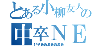 とある小柳友人の中卒ＮＥＥＴ（いやあああああああ）