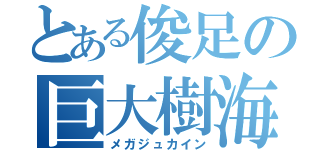 とある俊足の巨大樹海（メガジュカイン）