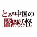 とある中国の格闘妖怪（ホン・メイリン）