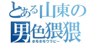 とある山東の男色猥猥（ホモホモウラピー）