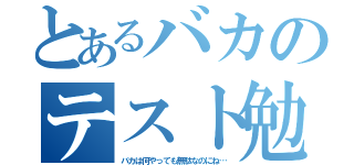 とあるバカのテスト勉強（バカは何やっても無駄なのにね…）