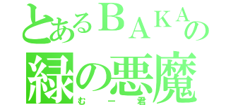 とあるＢＡＫＡの緑の悪魔（むー君）