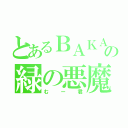 とあるＢＡＫＡの緑の悪魔（むー君）