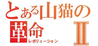 とある山猫の革命Ⅱ（レボリューション）