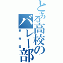 とある高校のバレー部員（動物園）