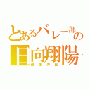 とあるバレー部の日向翔陽（最強の囮）