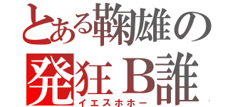 とある鞠雄の発狂Ｂ誰（イエスホホー）