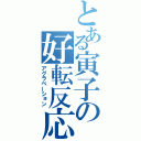 とある寅子の好転反応（アグラベーション）