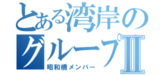 とある湾岸のグループⅡ（昭和橋メンバー）