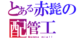 とある赤髭の配管工（Ｍａｍｍａ ｍｉａ！！）