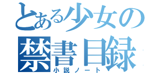 とある少女の禁書目録（小説ノート）