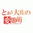 とある大佐の変態萌（ニンプモエックス）