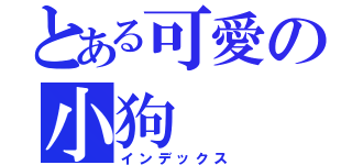 とある可愛の小狗（インデックス）