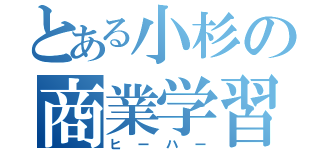 とある小杉の商業学習（ヒーハー）