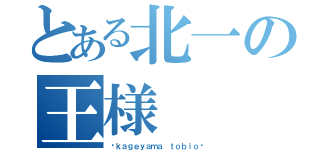 とある北一の王様（〜ｋａｇｅｙａｍａ ｔｏｂｉｏ〜）