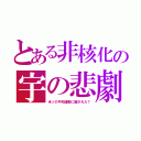 とある非核化の宇の悲劇（米ソの平和運動に騙された？）