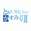 とあるＳＫＥのかすみ草Ⅱ（）